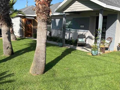 Lawn Care service in Panama City, 32401