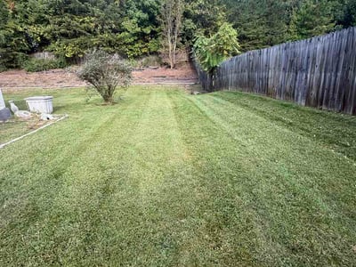 Lawn Care service in Asheboro, 27203