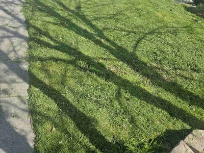 Lawn Care service in Ocean City, 08226
