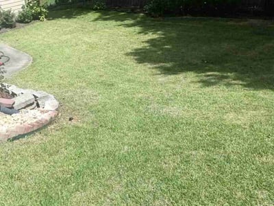 Lawn Care service in Kingston, 12401