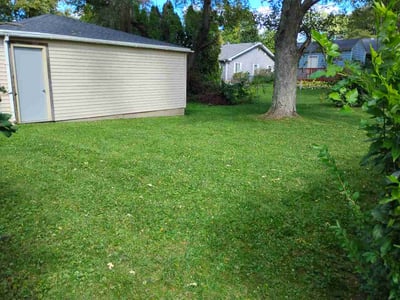 Lawn Care service in Demotte, 46310
