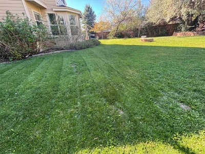 Lawn Care service in Castro Valley, 94546