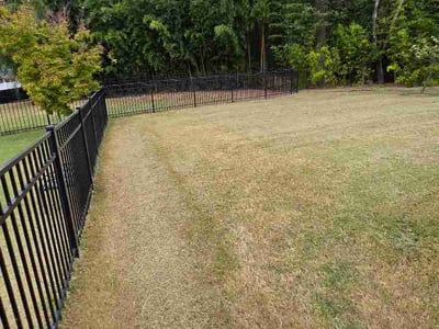 Lawn Care service in Castro Valley, 94546