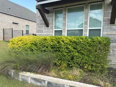 Lawn Care service in Alvarado, 76009