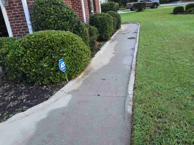 Leaf Removal service in Norman, 73069