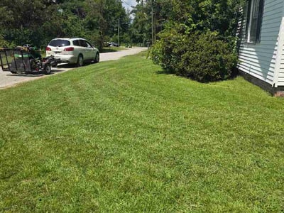 Lawn Care service in Hartsville, 29550