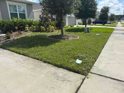 Lawn Care service in Orange City, 32763