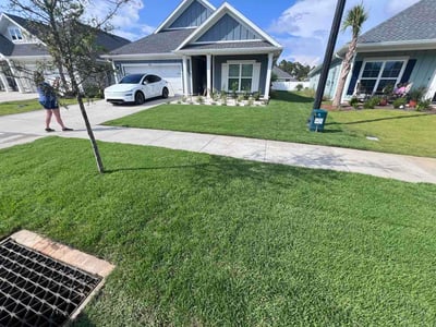 Lawn Care service in Panama City Beach, 32408