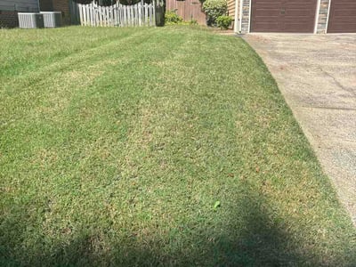 Lawn Care service in Pittsboro, 27312