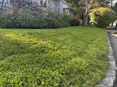 Lawn Care service in Xenia, 45385