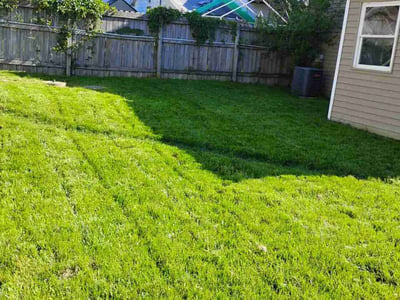 Lawn Care service in Newark, 43055
