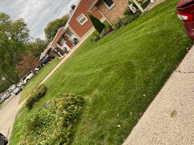 Lawn Care service in Miamisburg, 45342