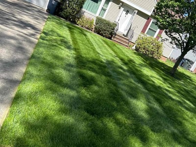 Lawn Care service in North Royalton, 44133