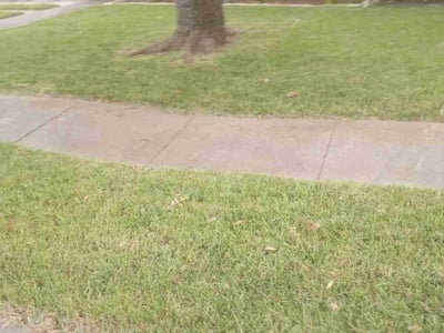 Lawn Care service in Portland, 78374
