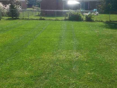 Lawn Care service in Lebanon, 45036