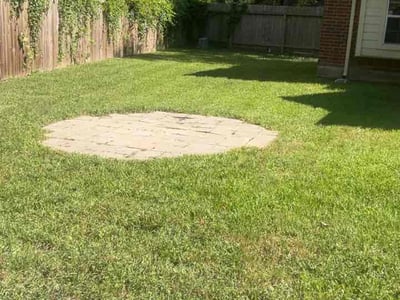 Lawn Care service in Princeton, 75407