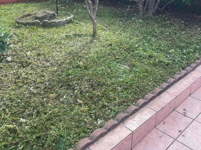 Lawn Care service in Hoboken, 07030
