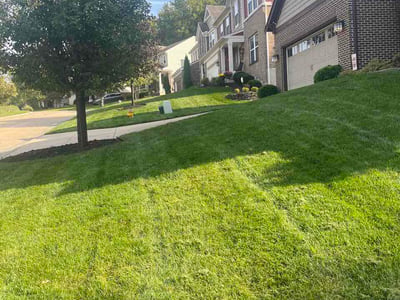 Lawn Care service in Burlington, 41005