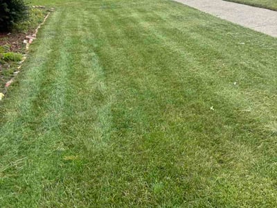 Lawn Care service in Evergreen Park, 60805
