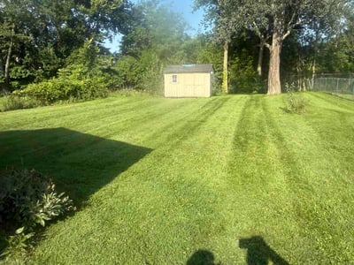 Lawn Care service in Burlington, 41005
