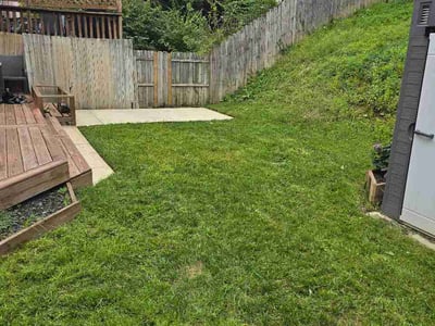 Lawn Care service in Burlington, 41005