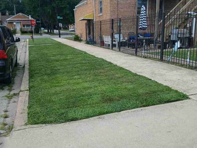 Lawn Care service in Carol Stream, 60188