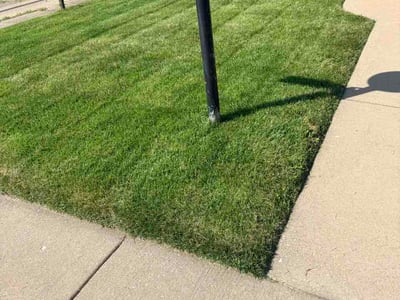Lawn Care service in Montgomery, 60538