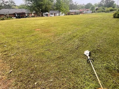 Lawn Care service in Elmont, 11003