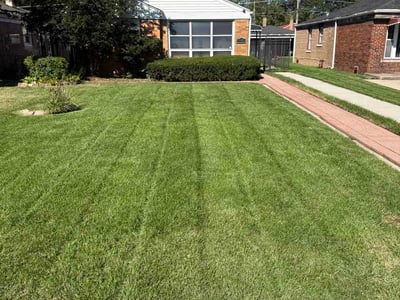 Lawn Care service in Crest Hill, 60403