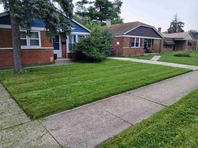 Lawn Care service in Dolton, 60419