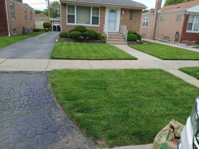 Lawn Care service in Dolton, 60419