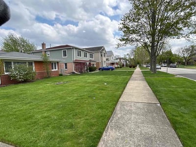 Lawn Care service in Park Ridge, 60068