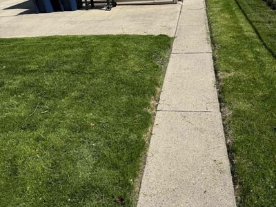 Lawn Care service in Park Ridge, 60068