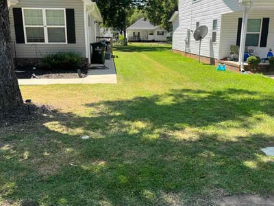 Lawn Care service in Rock Hill, 29730