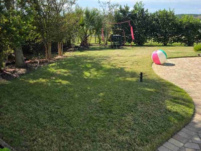 Lawn Care service in Mount Pleasant, 29464