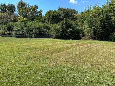 Lawn Care service in Clover, 29710