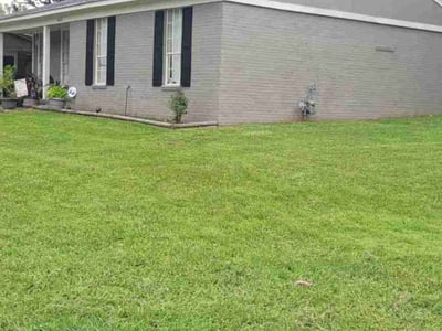 Lawn Care service in Johnson City, 37604