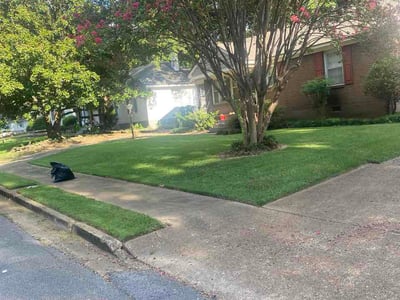 Lawn Care service in Johnson City, 37604