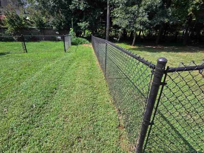 Lawn Care service in Lenoir, 28645