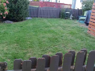 Lawn Care service in Saint Albans, 25177