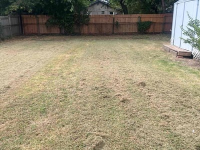 Lawn Care service in Acton, 01720
