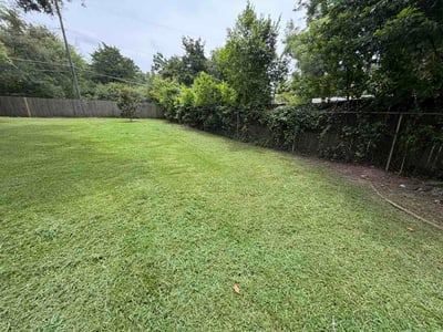 Lawn Care service in Macon, 31201