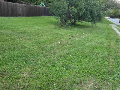 Lawn Care service in Medford, 08055