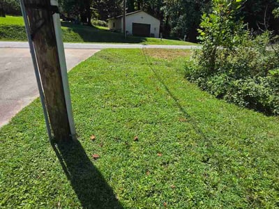 Lawn Care service in Morganton, 28655