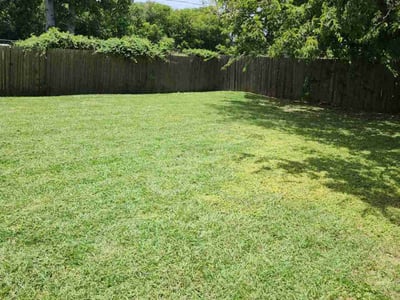 Lawn Care service in Killeen, 76541