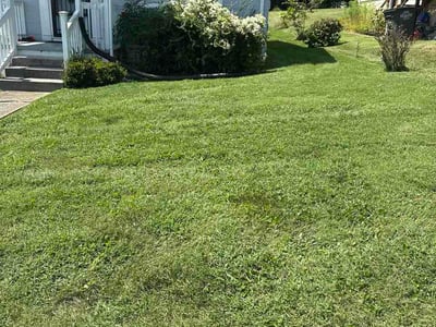 Lawn Care service in Rogersville, 37857