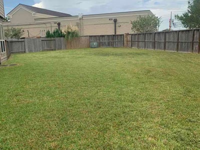 Lawn Care service in Belton, 76513