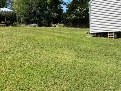 Lawn Care service in Dedham, 02026