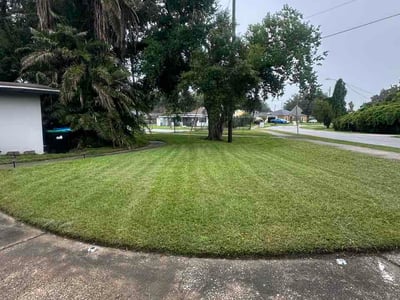 Lawn Care service in Stoughton, 02072