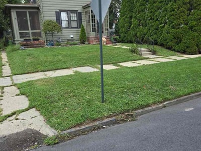 Lawn Care service in Mount Holly, 08060